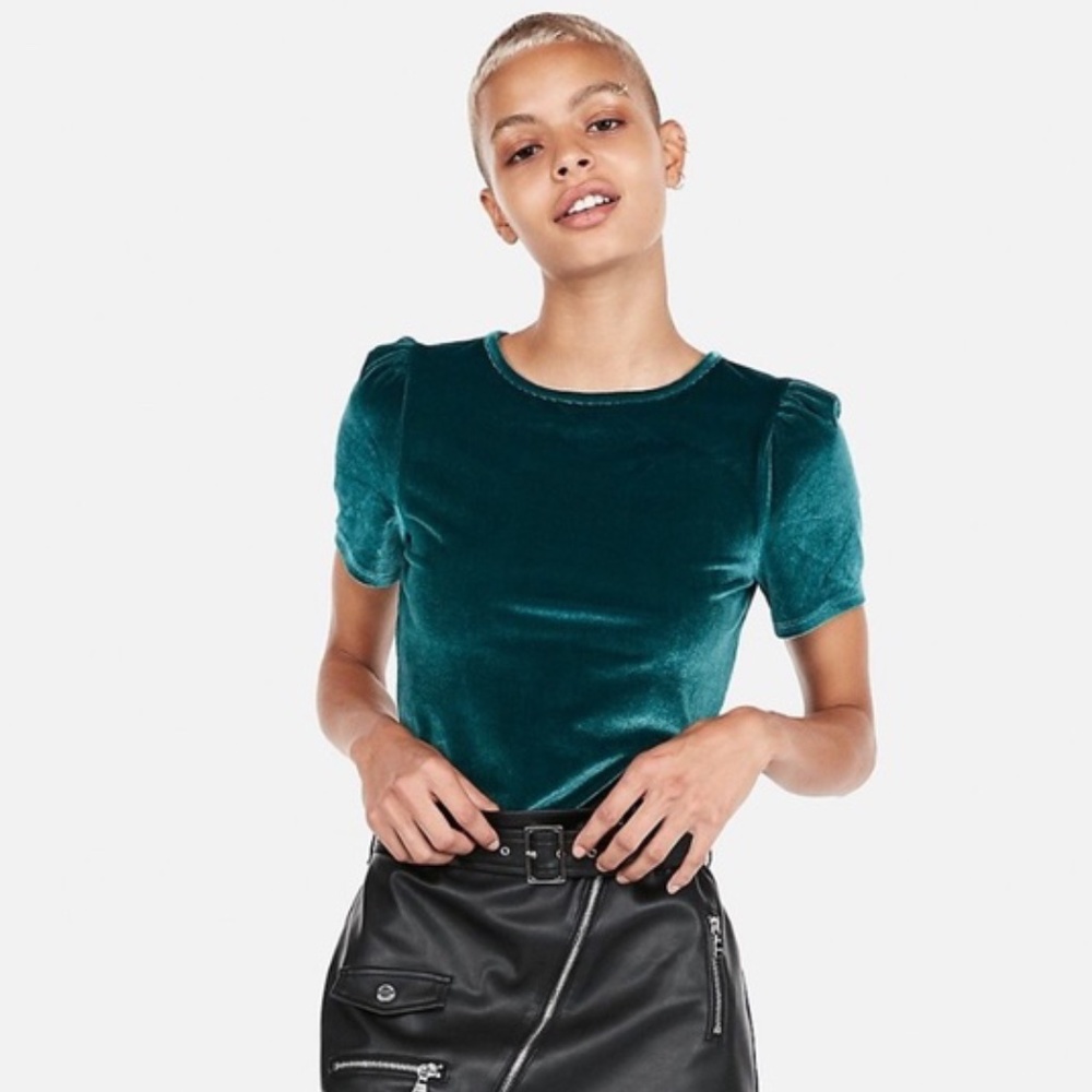 NWT Express Velvet Puff Sleeve Top